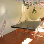 Verdizela Ii *