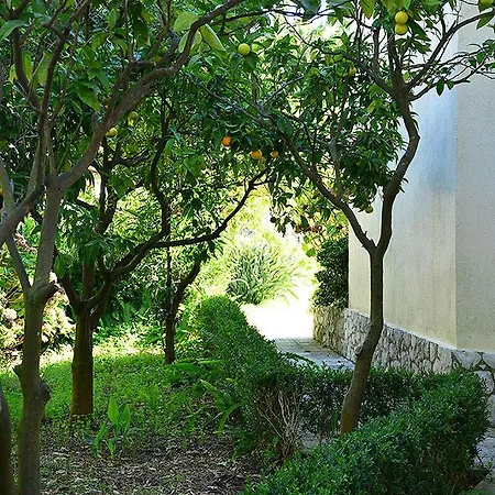 Villa Verdizela Ii Carcereiro
